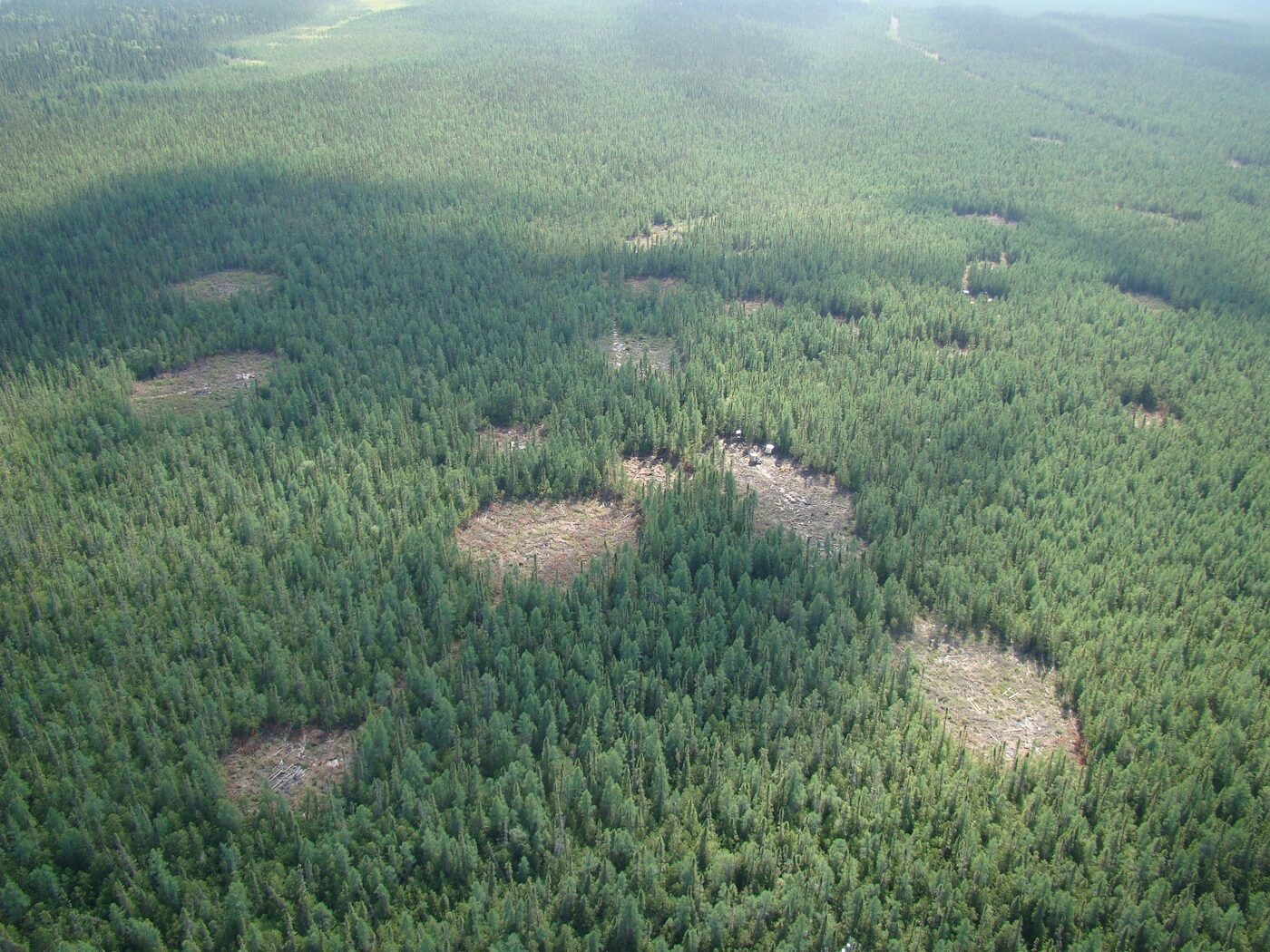 Aerial view of the Albany property in Northern Ontario showing drill clearings in boreal forest